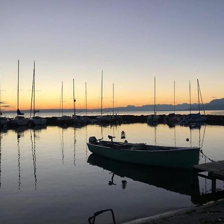Villa Moderne, A 2 Pas Du Lac Leman Сьє Екстер'єр фото